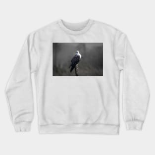 Bright Eyed Osprey Crewneck Sweatshirt